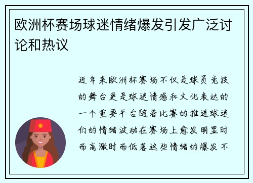 欧洲杯赛场球迷情绪爆发引发广泛讨论和热议
